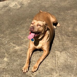 Meet your Posher, Joan